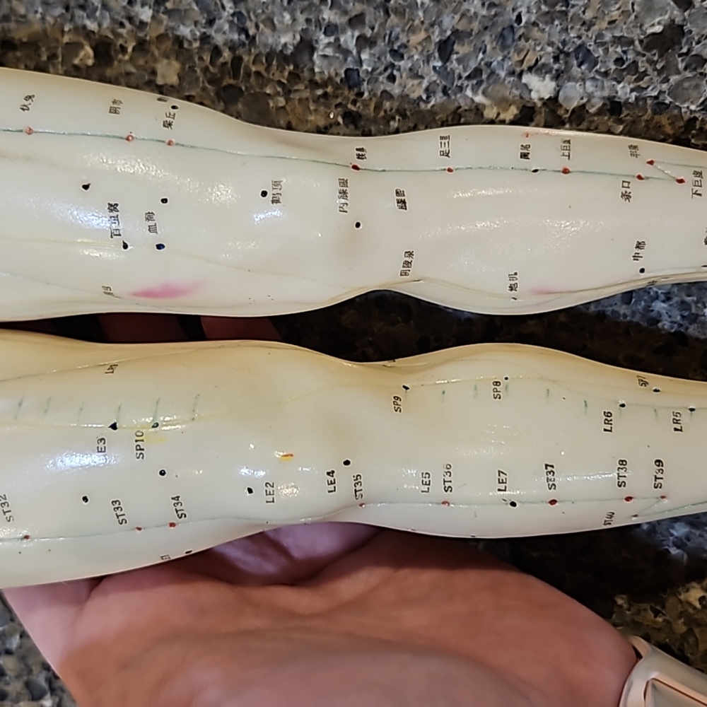 Acupuncture Model - Picture 3 of 4